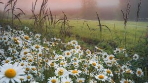 СП Вяжем играя Старт 27 тура с Еленой Велиной