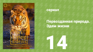 Первозданная природа. Эдем жизни 14 серия (документальный сериал, 1997)