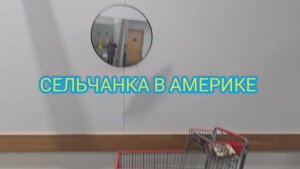Сельчанка в Америке Шок-цены и крутые новинки Обзор из магазина