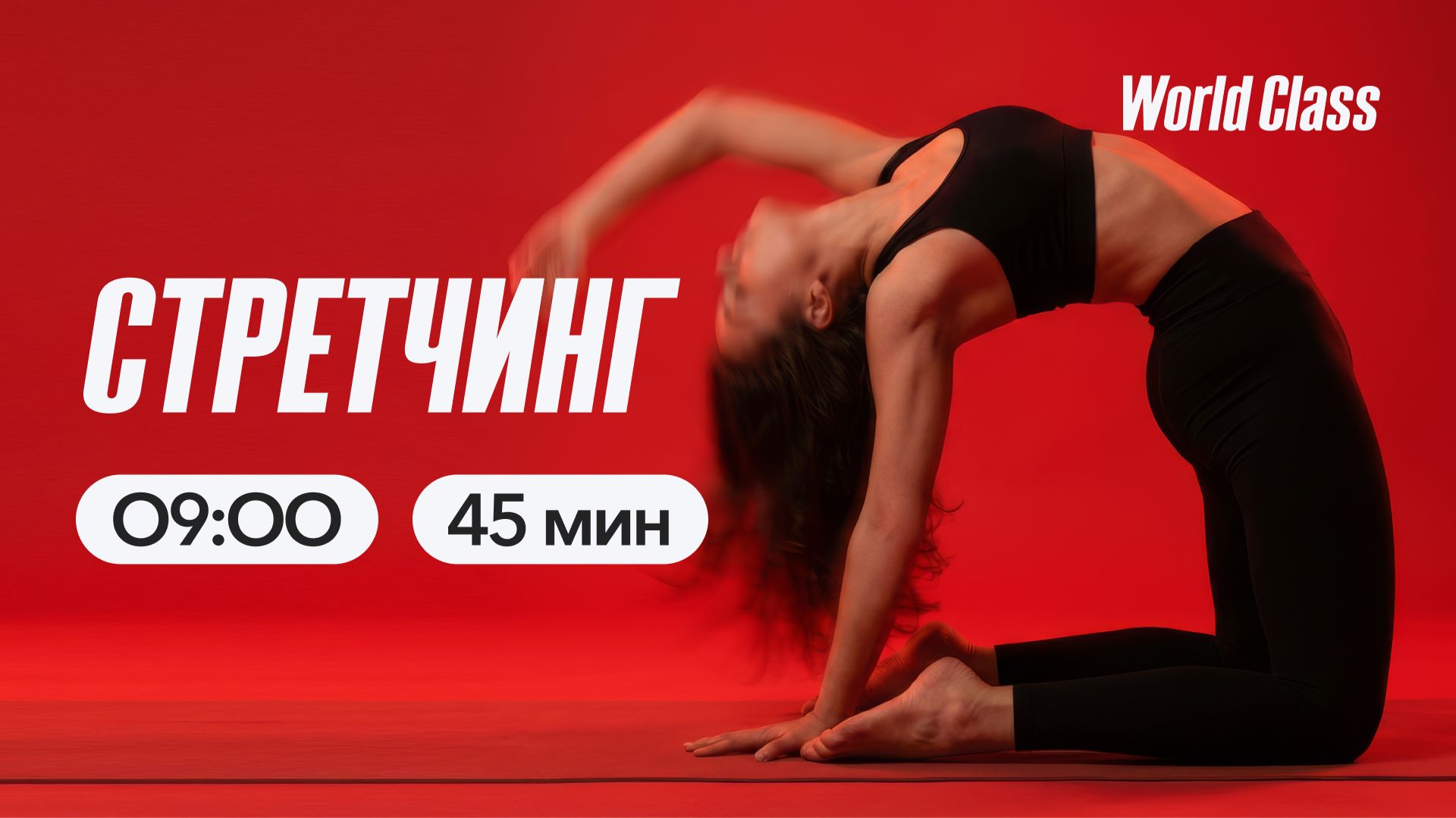 СТРЕТЧИНГ с Анастасией Филипьевой | 27 апреля 2026 | Онлайн-тренировки World Class
