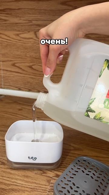 Жиза?
