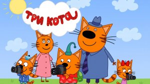 Три кота Мультик | Мультфильм три кота смотреть | Сборник серий три кота.
