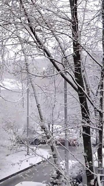 Москву завалило снегом. 27 апреля 2026