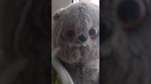 Апрель сломался