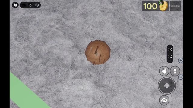 мы с Мироном играем в Roblox