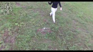 Девушка на траве