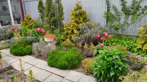 Принцип создания цветника и посадка смородины Селеченская 2. Прогулка по саду 24.04.2026 г.Пятигорск