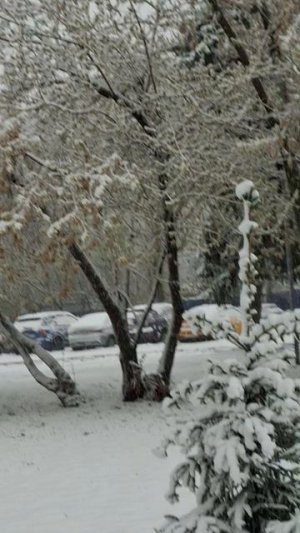 Весна в Москве...