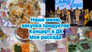 Наше меню , закупка продуктов, сходили на концерт в ДК #экономноеменю #выживание