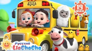 🍿🌈Колеса автобуса крутятся| Версия с животными | Лиа и Чача