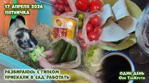 Разбираюсь с гипсом, работаем в саду. 17 апреля 2026. Дни с Олей ТакКруто