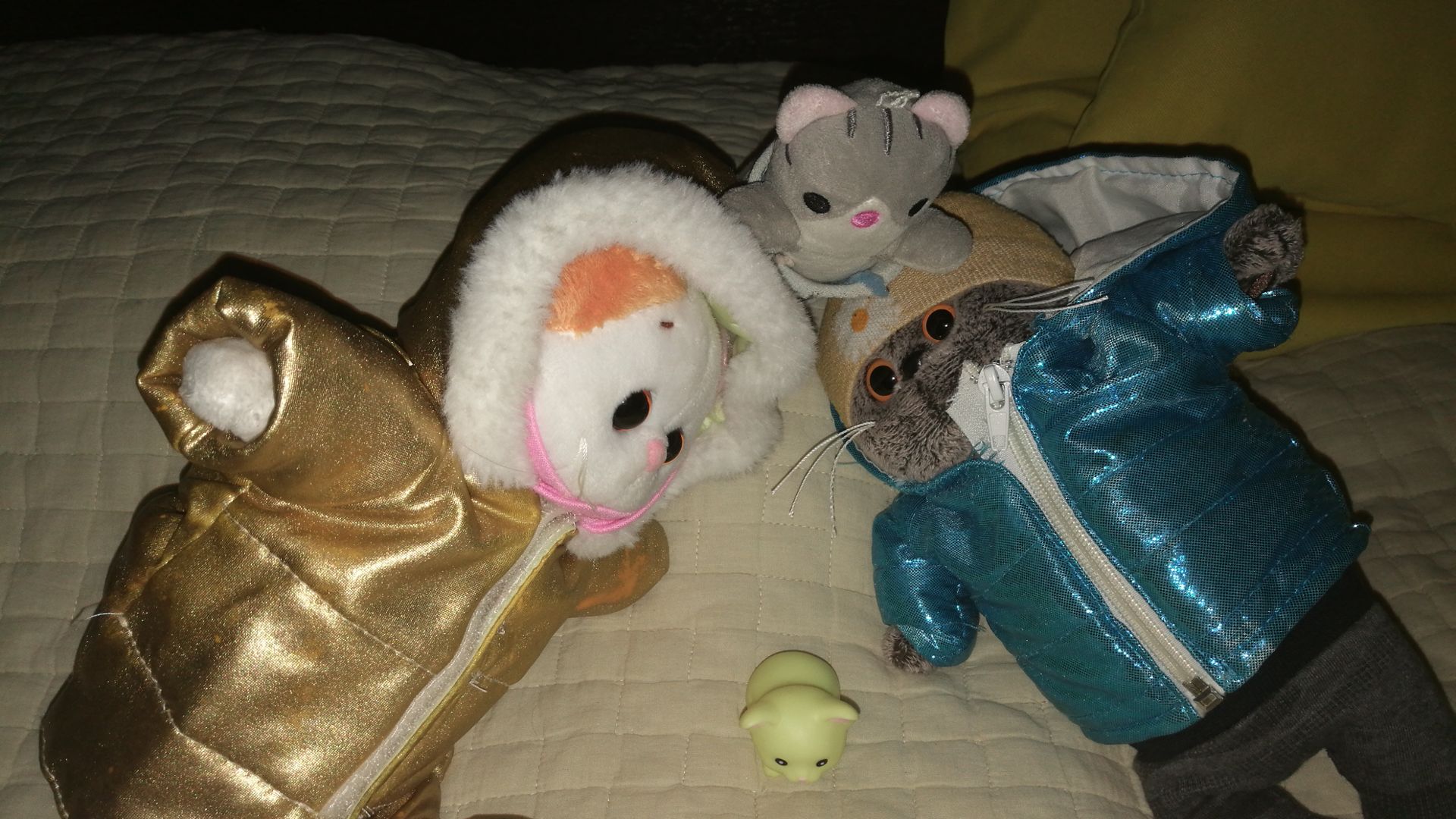 Новый член семьи басиков. кто это? 2026 год