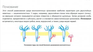 27.04.2026 г. Размножение прокуроров в моем заказном уголовном деле.