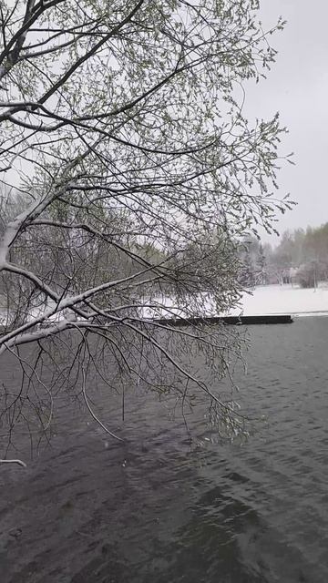 27.4.26 Москва, Южное Бутово