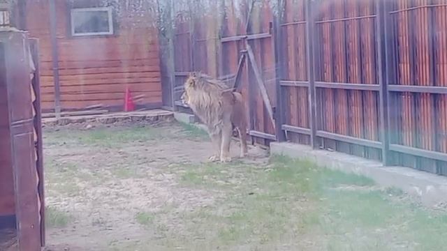 KFGZ4302 Видео от Ивана 27.04.2026