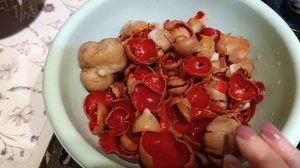 Тихая, первая в этом году , охота🍄