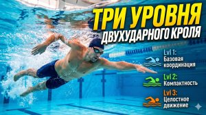 ТРИ УРОВНЯ ДВУХУДАРНОГО КРОЛЯ