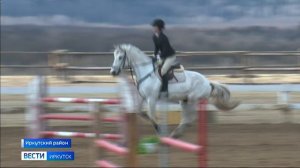 Более 300 пар. В деревне Грановщине прошел Открытый кубок Иркутской области по конному спорту