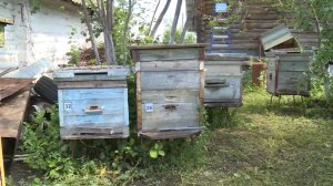 «Умартасылыҡ тураһында» республика законына төҙәтмәләр ҡабул ителде