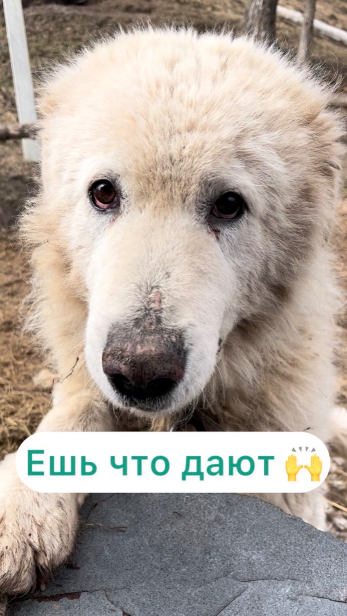 Ешь что дают🙌