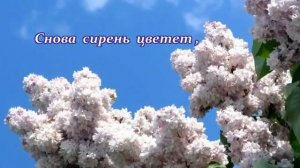 Дарю Весну!