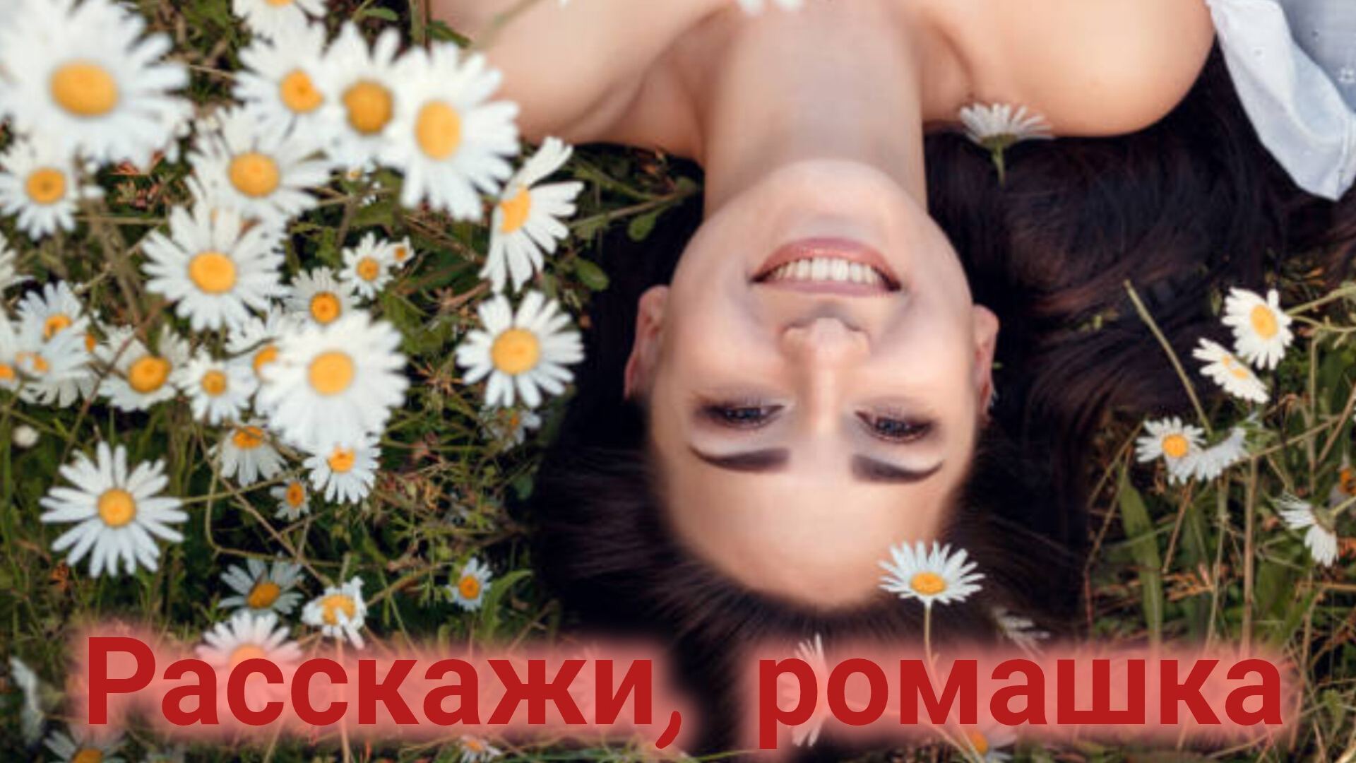 Песни для души. "Расскажи, ромашка."