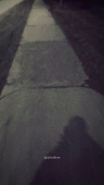 Вечерняя прогулка перед сном без снега 💃