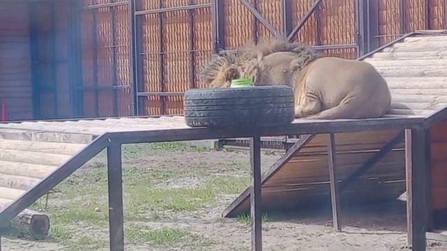 MZDC5920 Видео от Ивана 27.04.2026