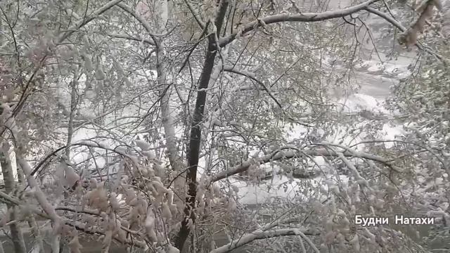 27 апреля. Утренний шок! Прогноз от Алисы на сегодня