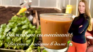 Выживет сильнейший! Весенние работы в доме 🏡 Мой Муж Гений! Семья Борисовых Vlog