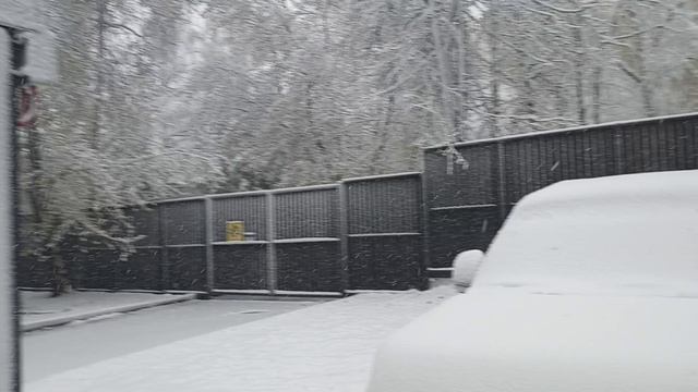 АПРЕЛЬСКАЯ НЕПОГОДА