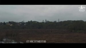 Начало экспедиции!🌳