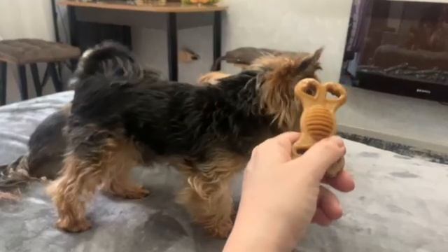 Отдайте мне косточку