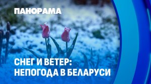 🌨 Апрельский снег: непогода испытывает Беларусь на прочность. Панорама