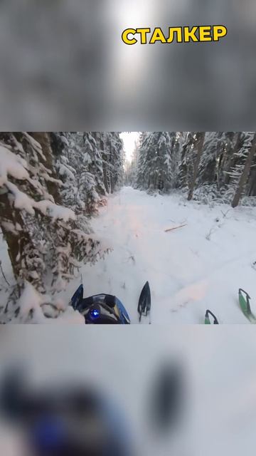 Покоряем снежные тропы. Выезд от первого лица  Снегоход Сталкер