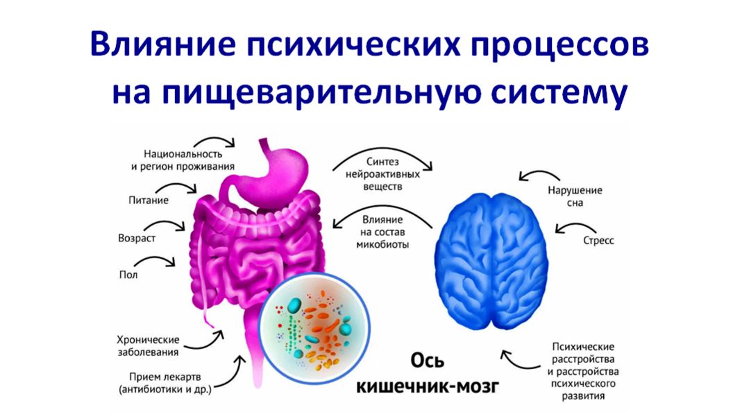 Психосоматика и процесс пищеварения