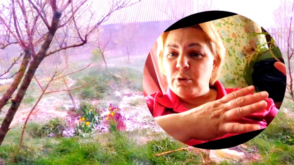 ПОГОДА БУШУЕТ.СНЕГ В АПРЕЛЕ. И О СЕБЕ