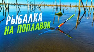 КАРАСЁВЫЙ РАЙ ИЛИ НЕТ? Двух дневная рыбалка на поплавок весной.