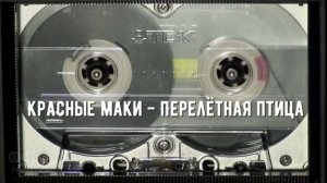 ВИА Красные маки - Перелётная птица (AI Cover)