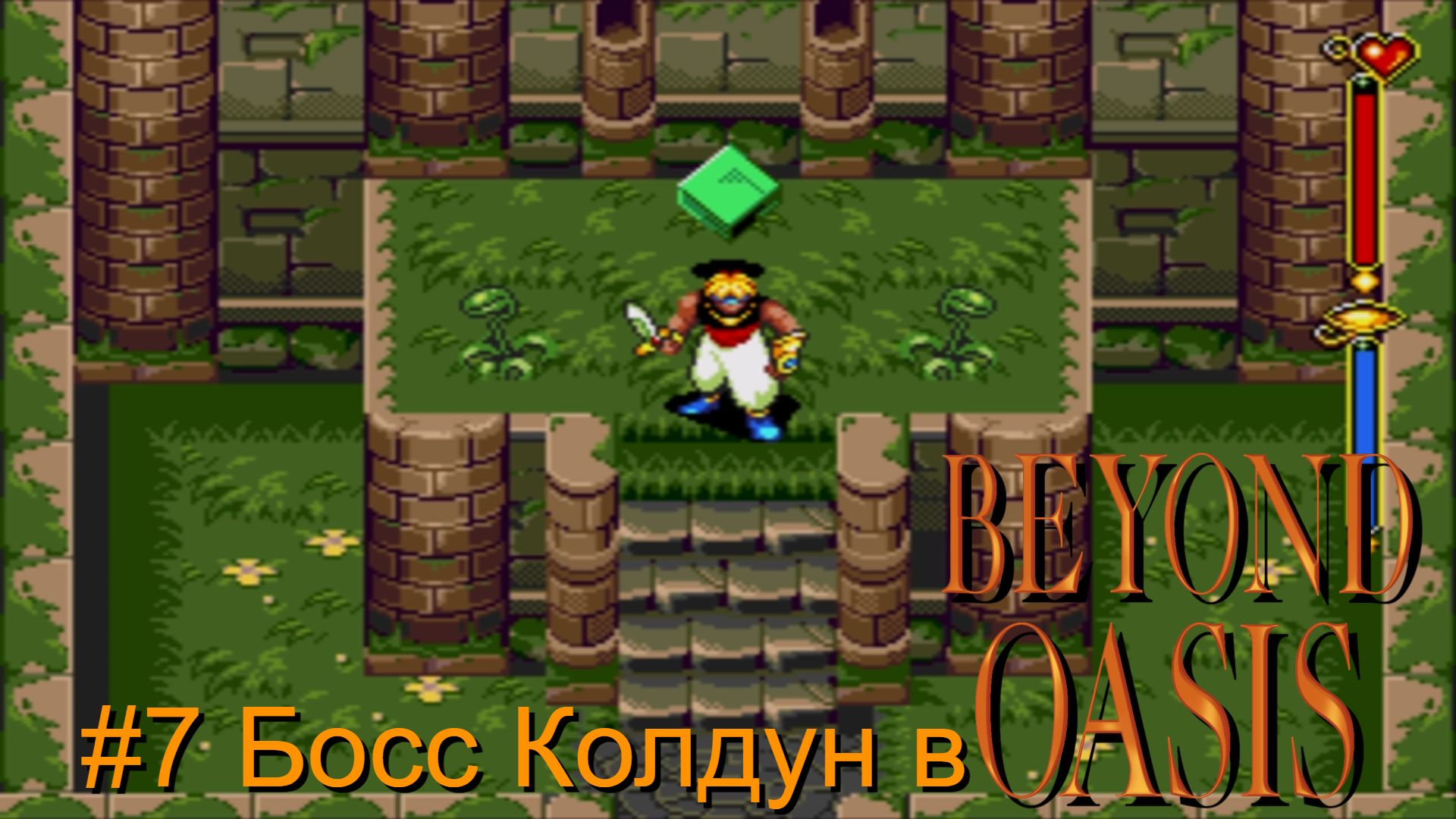 #7 Босс Колдун в Beyond Oasis
