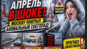 ❄️ ШОК В КОНЦЕ АПРЕЛЯ! Москву накрыл аномальный снегопад — транспорт встал, цены взлетели!