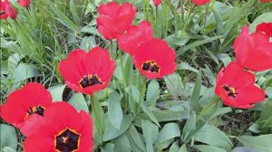 Наши выходные! Переделали много дел!