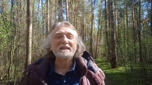 О чем поет кукушка. Проделки ума