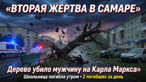 В Самаре вторая жертва непогоды рухнувшее дерево унесло жизнь мужчины на проспекте Карла Маркса