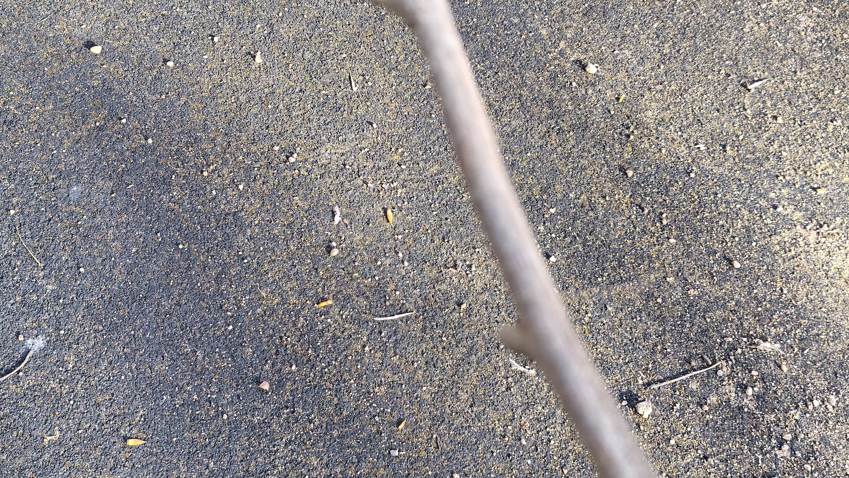 Тизер " БЭКУМС " Серия 4