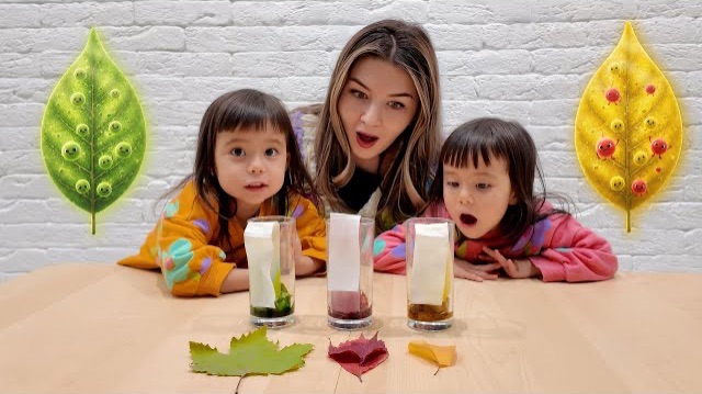 Почему листья меняют цвет? 🍁Веселый научный эксперимент для детей от Твин Твин