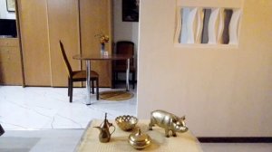 Не понравилось/ 100 /Рыбы мотают нервы /Акита