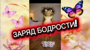 Повтори и получишь заряд БОДРОСТИ  на весь день 🙋