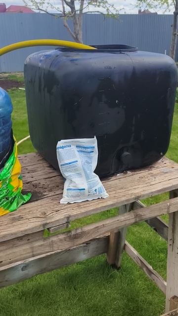 тюльпаны вторая подкормка борофоска 27 апреля #теплица #дача #садоводничество #огород #уходзатеплице