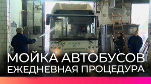 В «Автобусном парке» показали, как происходит ежедневная генеральная уборка подвижного состава